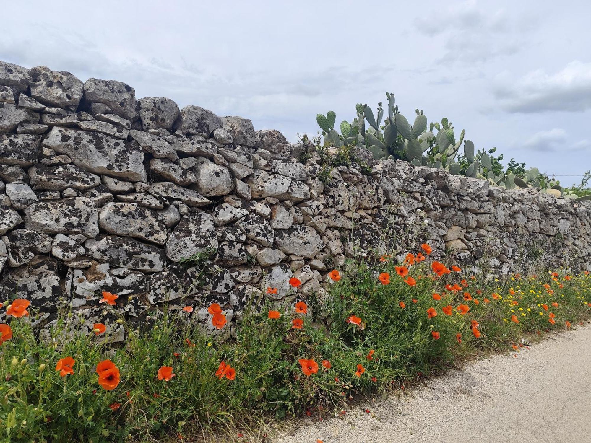 Villa Casa Mirabilis 44 Ostuni Exterior foto